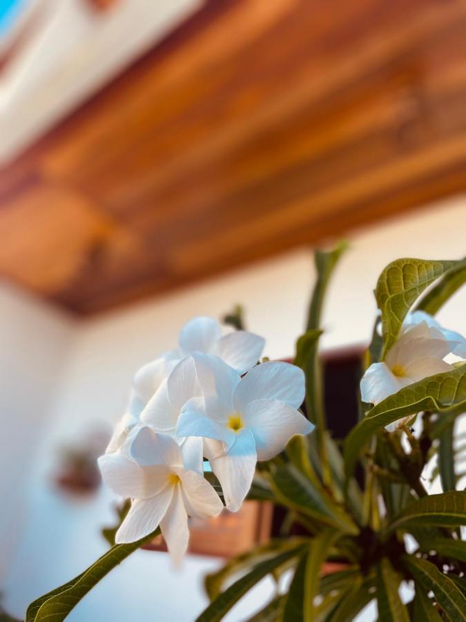 Beach Eco Stays Hotel Boutique Lagoinha Paraipaba Buitenkant foto